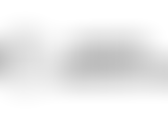 So you're thinking of submitting to Fly on the Wall...