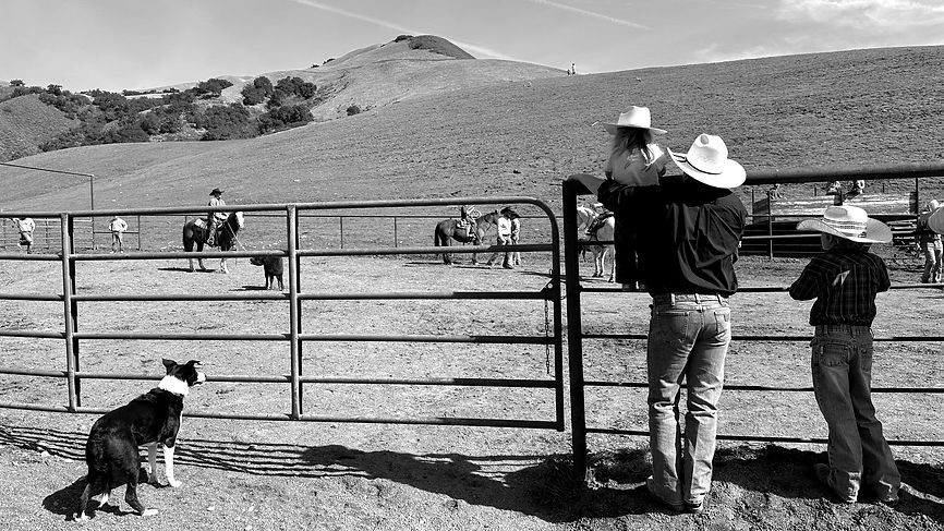 Rodeo Collective Agency captures the essence of Western heritage as a cowboy and his children watch a ranch rodeo event from the fence, alongside a loyal cattle dog. Riders on horseback work cattle in the arena, showcasing traditional ranching skills and the Western way of life. Perfect for brands seeking authentic rural storytelling and sponsorship in rodeo sports, agriculture, and Western lifestyle marketing.
