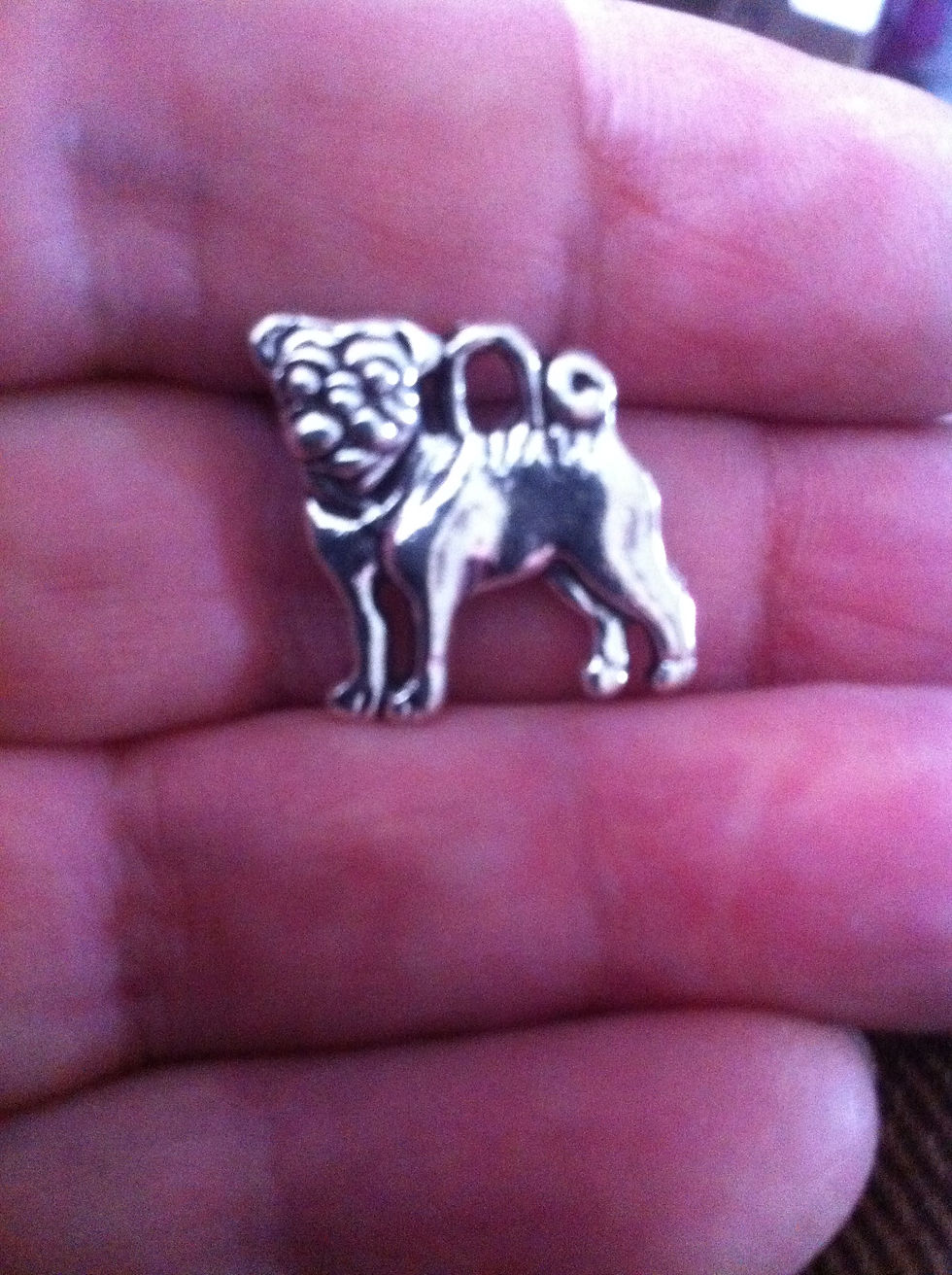 Thumbnail: Charms Silver Pug dogs #54
