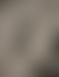 Why a Vegan Pillow Mist for Sleep Actually Works: The Science of Hops and Natural Calm