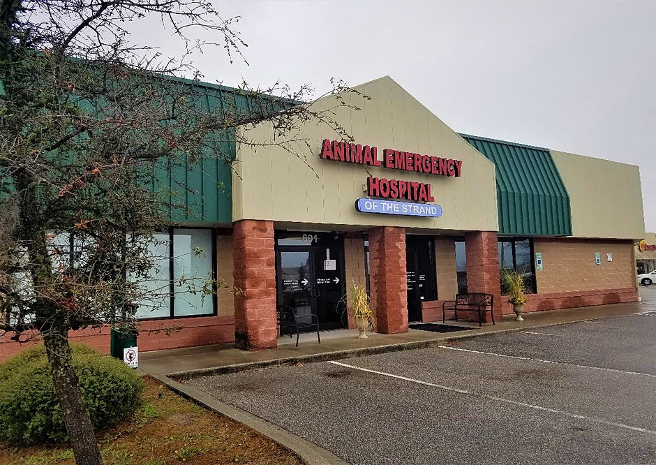 Home | Myrtle Beach, SC | Animal Emergency Hospital of the Strand