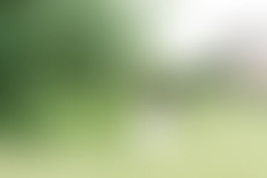 A bulle rock residents club wedding | Baltimore MD Wedding Photographer | adam + kaitlyn