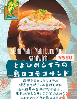 Blue Modern Hawaiian Flyer.jpg.jpg