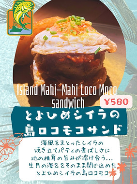 Blue Modern Hawaiian Flyer.jpg.jpg