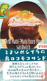 Blue Modern Hawaiian Flyer.jpg.jpg