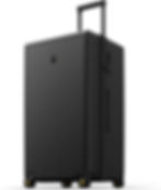 Diamond Textured Large Case