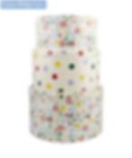 Emma Bridgewater Cake Tins