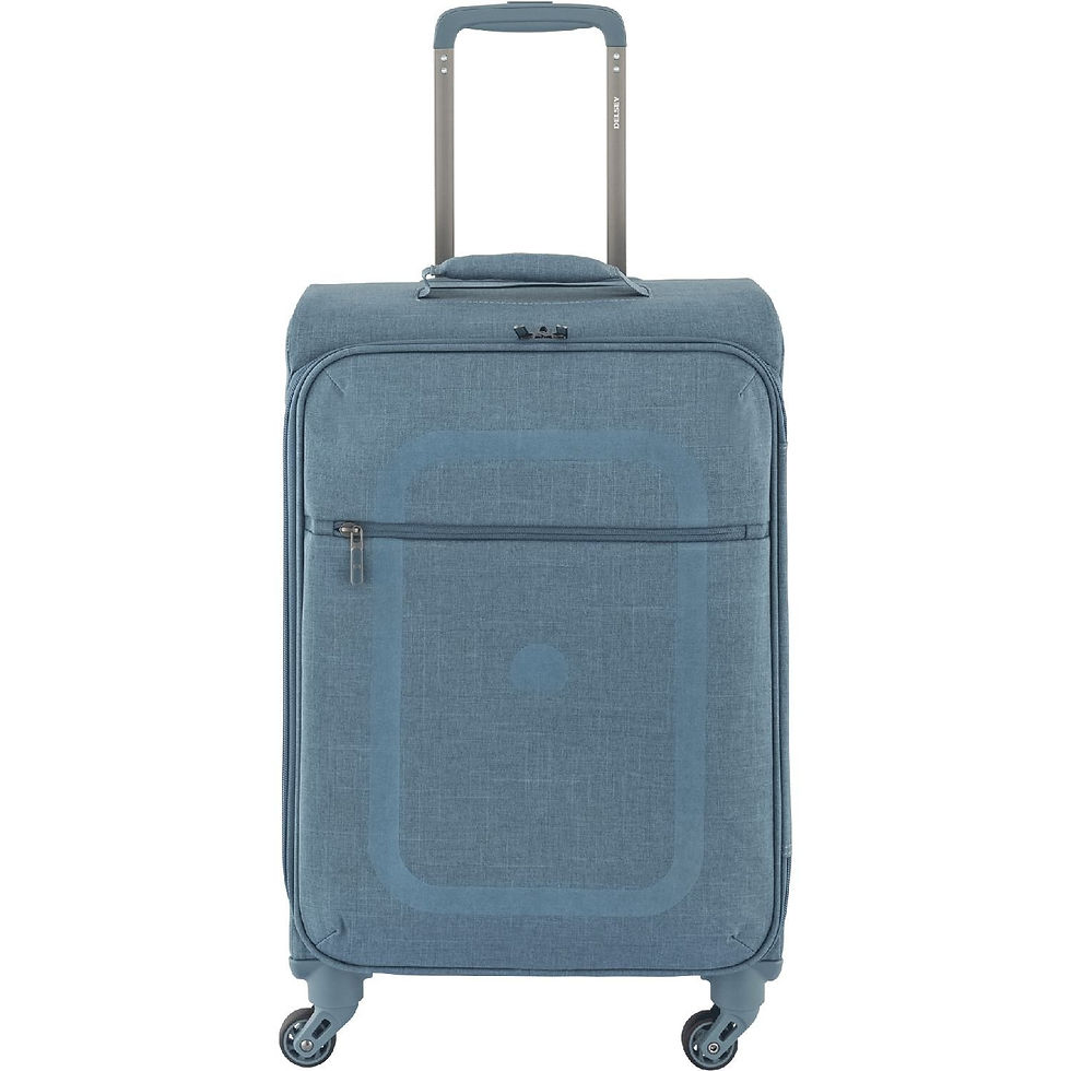 Delsey Dauphine Case