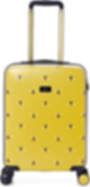 Botanical Bee Cabin Case