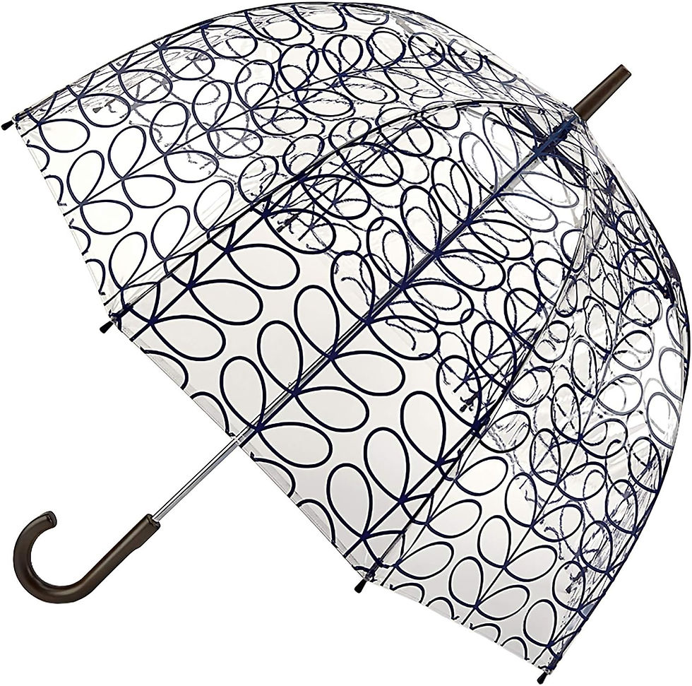 Birdcage Umbrella