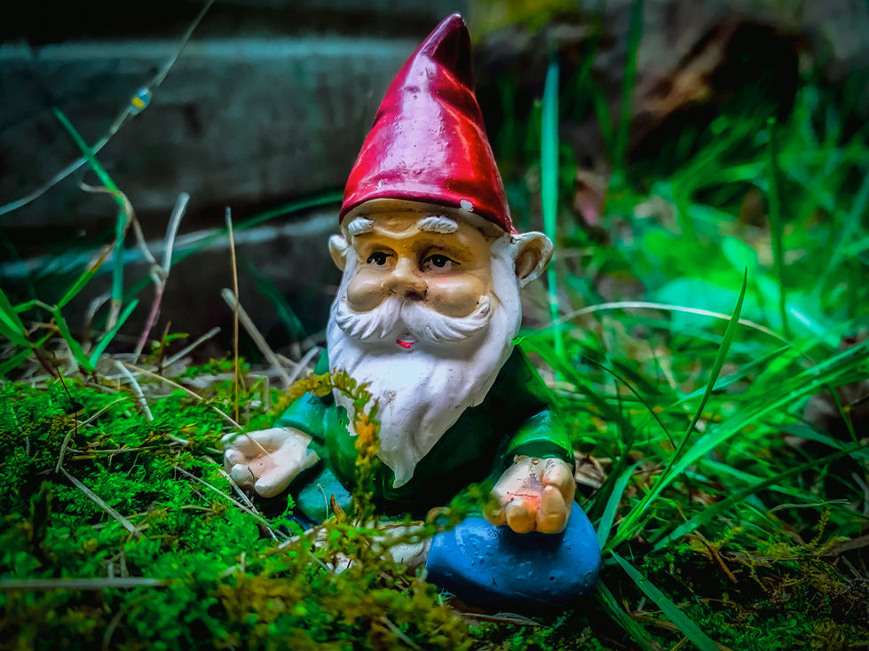img_8424 Matthew the meditating gnome