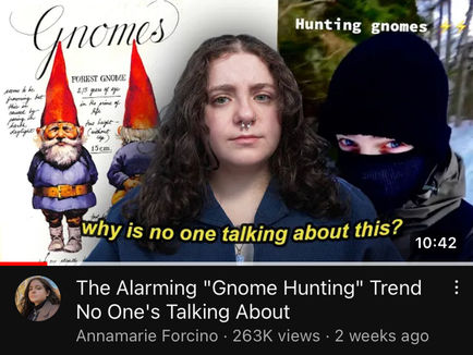 Gnome Hunting: A Racist TikTok Movement