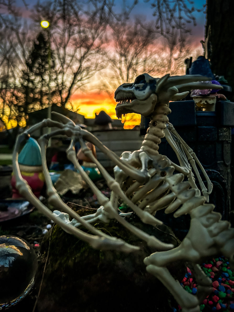 IMG_8175