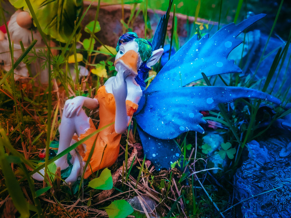 img_8436
