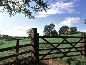 Inventário com imóvel rural