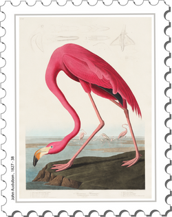 John audubon 1827