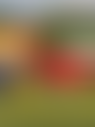 Leader Ifira Black Bird win 3-2 to Mauriki in PVFA Super League