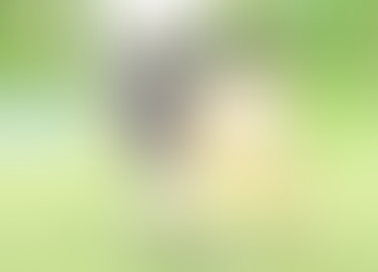 OFC Champions League: Tupapa Maraerenga 3-0 Pago Youth