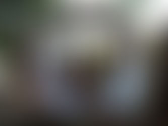 Youth Summer Fest, Romania