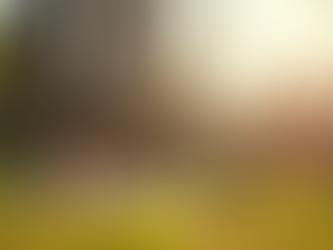 Planning your Exercise Routine to Enhance Your Wellness Journey