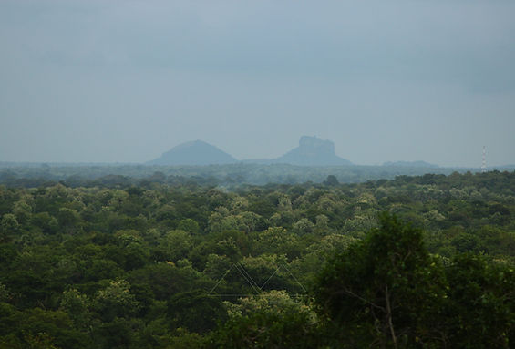 Sri Lanka | Photographie | Aurelie Stapf