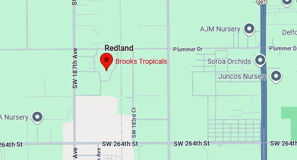 BTmap.jpg