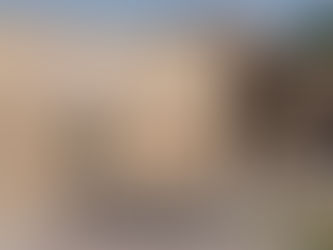 Local Charity Highlight - Murphy Center and Homeward Alliance