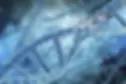 prader willi 2.webp