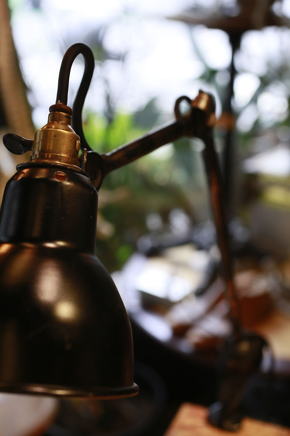 Thumbnail: CLAMP LAMP GRAS 201