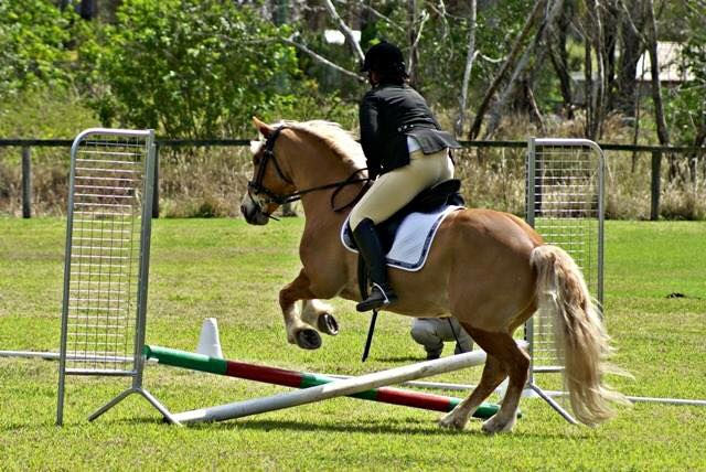 NDHD Members Combined Training Day 