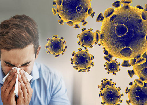 WhatsApp number for Coronavirus released, Answers to all the questions will be found here
