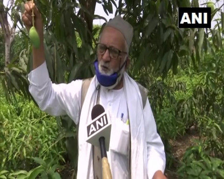 COVID-19: 'Mango Man' created a new variety of mangoes for Corona Warriors, named 'Doctor Mango'
