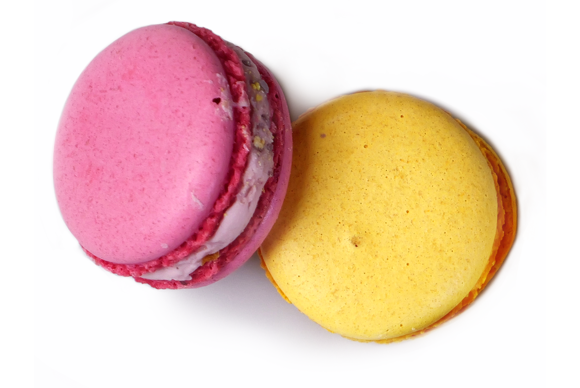 cat_macarons.webp