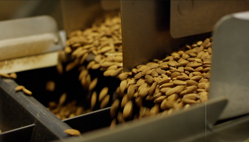almonds being processed at the Sran Family Orchards facility