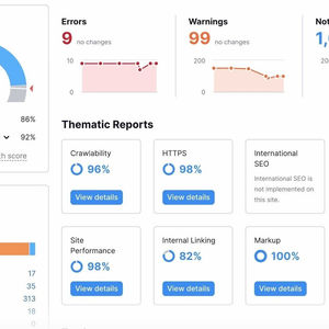Website Auditing