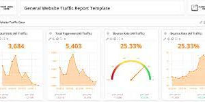Website Traffic (organic)