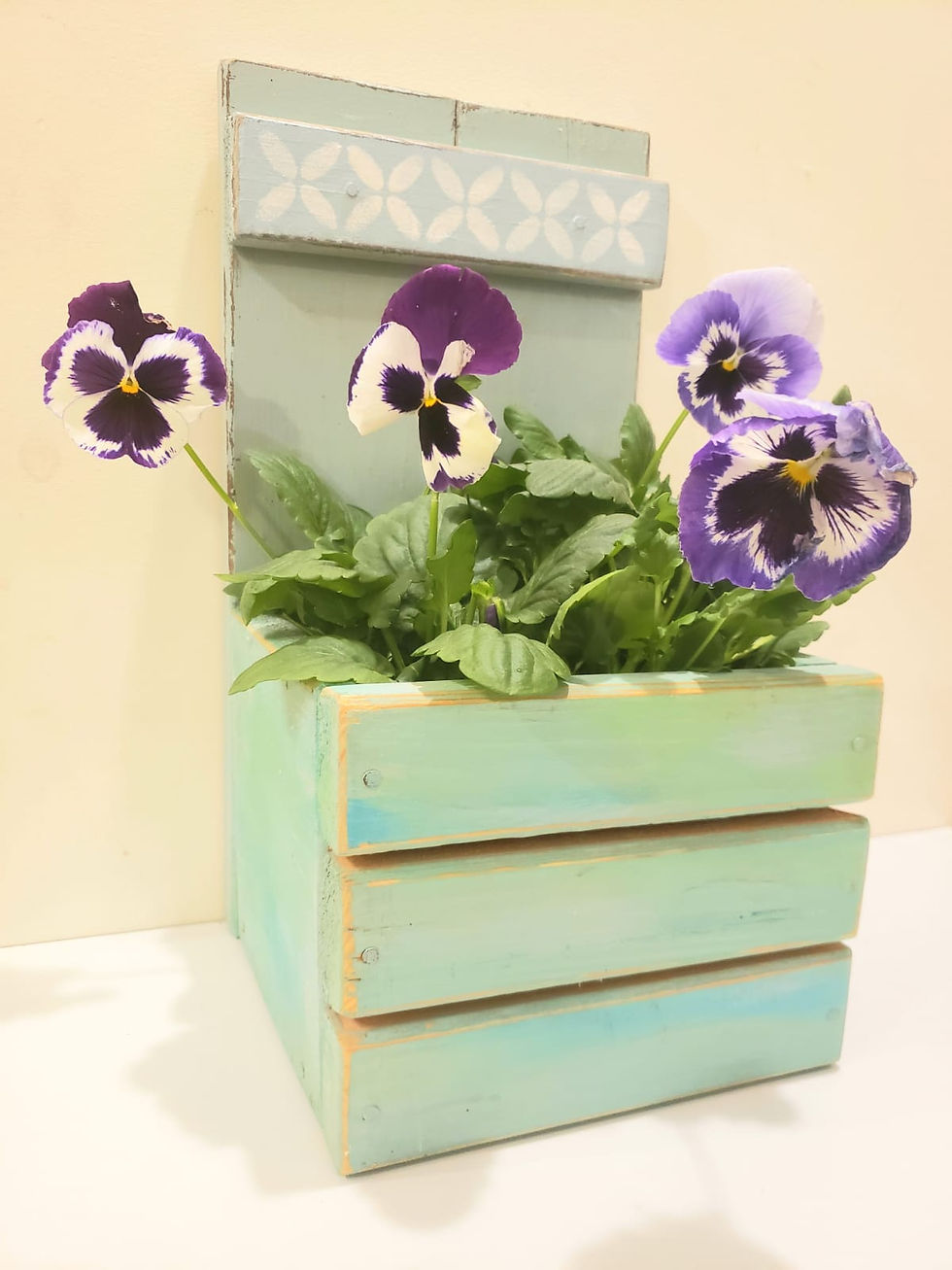 תמונה ממוזערת: אדנית תלויה