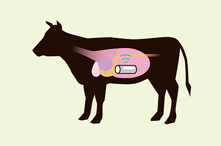 胃内修正.png