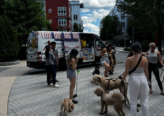 Arlington ice cream truck rental