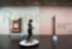 MASP