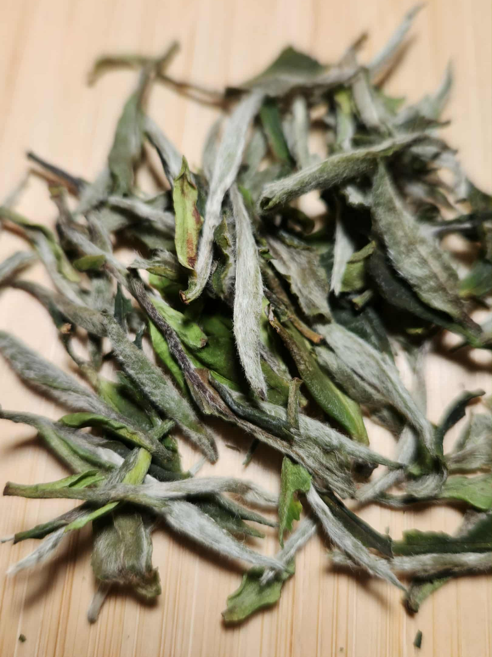 White Peony (Bai Mu Dan)