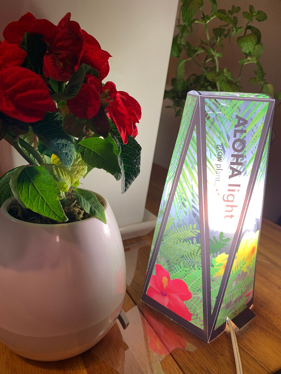 植物育成ライト