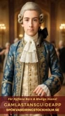 SE Mini Viking (1).webp