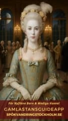 SE Mini Viking (1).webp