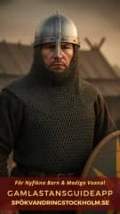 SE Mini Viking (1).webp