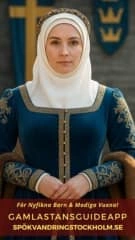 SE Mini Viking (1).webp