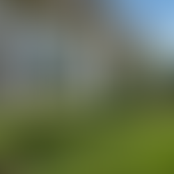 Front view of a house with large windows, gray siding, and black shutters. Lush green lawn and bushes in a sunny, suburban setting.