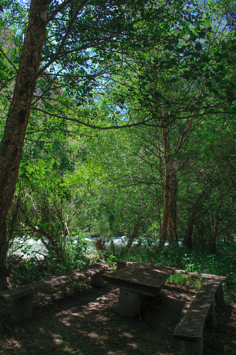 Nature 2.jpg