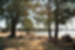 the nearby beach