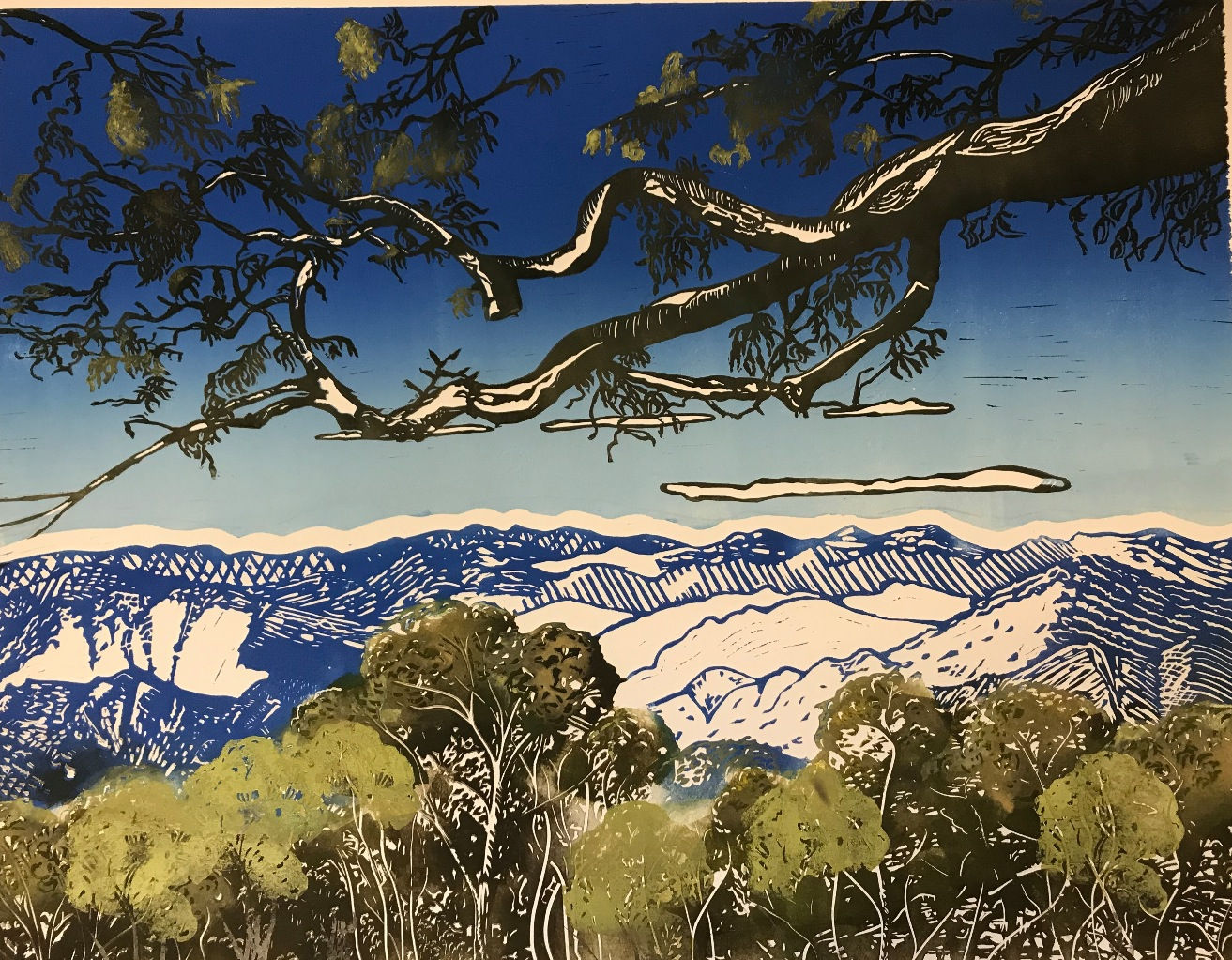 Point Lookout, Waterfall Way (i) V1